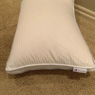 Two Pillows - The Seasons Collection and Serta