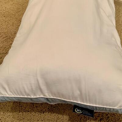 Two Pillows - The Seasons Collection and Serta