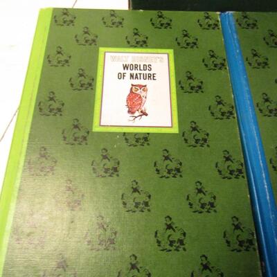 LOT 41  THE WONDERFUL WORLDS OF WALT DISNEY 4 BOOK BOX SET