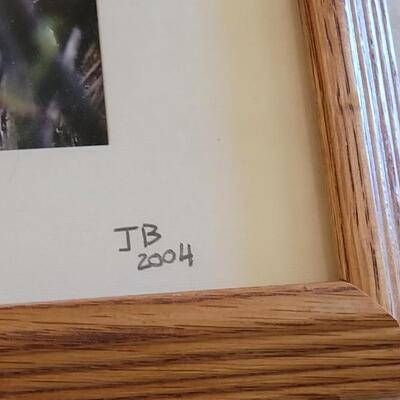 Lot 48: Framed and Signed "Colorado Moose" Photograph by J.B.