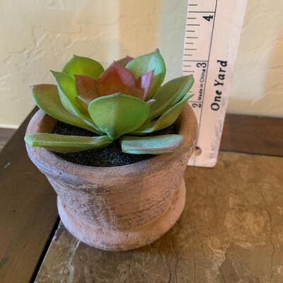 Faux potted succulent