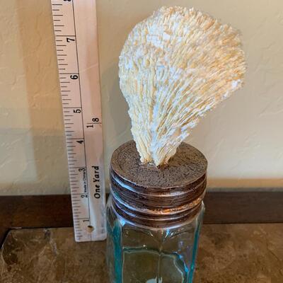 Decorative Seashell Jar