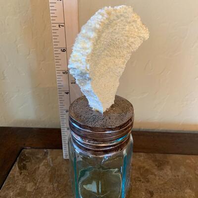 Decorative Seashell Jar