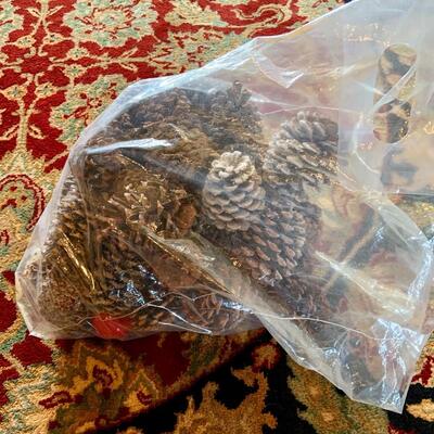 Bags of pine cones and acorns