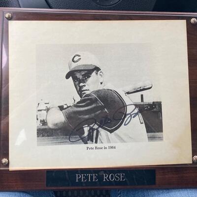 Pete Rose 1964 Signed Baseball Photograph Plaque with COA