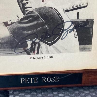 Pete Rose 1964 Signed Baseball Photograph Plaque with COA