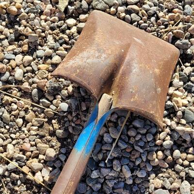 Lot 110: (2) Wood/Metal Combo Handle Blue Paint Shovels