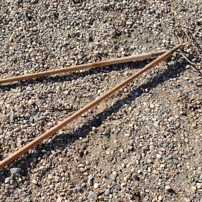 Lot 111: (2) Vintage Farm and Garden Rakes