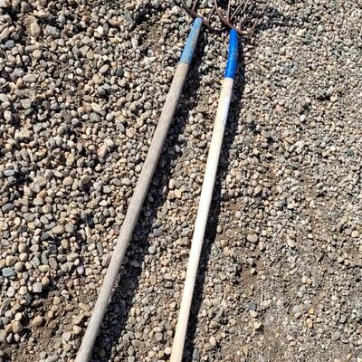 Lot 114: (2) Vintage Blue Accent Pitchforks Farm Garden