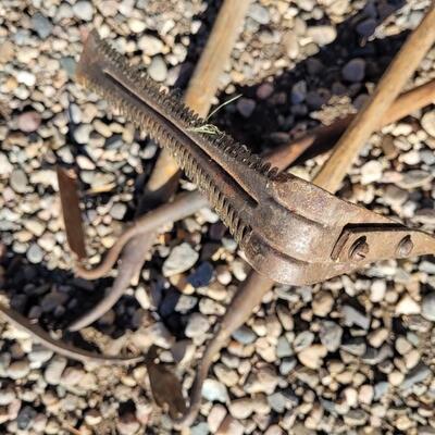 Lot 118: Assortment of (4) Antique Vintage Small Head Farm Garden Hoe Plows