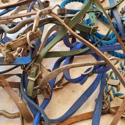Lot 161: Assortment of Horse Tack
