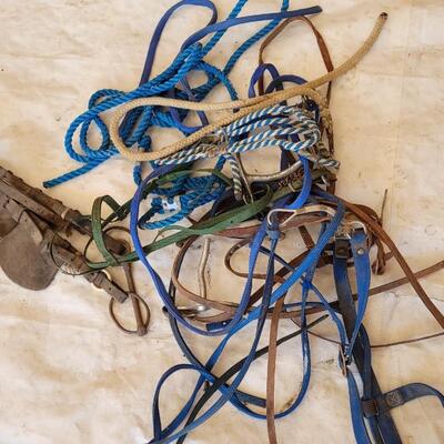 Lot 161: Assortment of Horse Tack