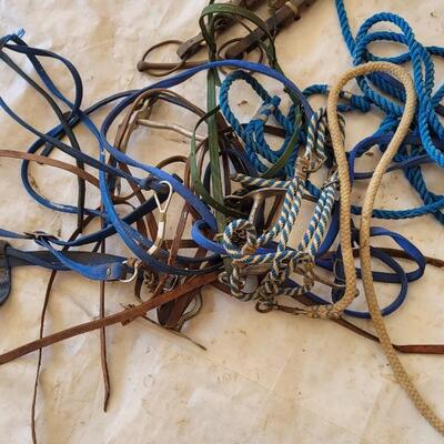 Lot 161: Assortment of Horse Tack