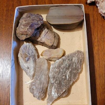 Lot 75: Coral, Shells and Rocks Collection from Multiple Beaches