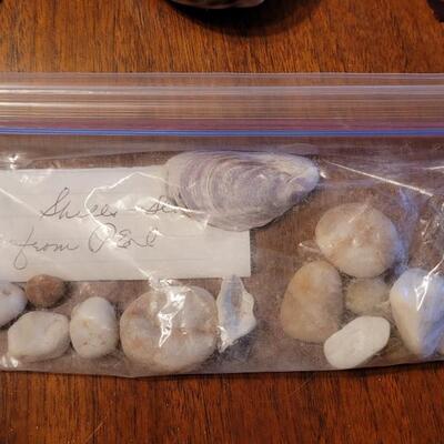 Lot 75: Coral, Shells and Rocks Collection from Multiple Beaches