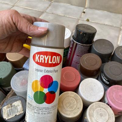 Spray Paint Lot