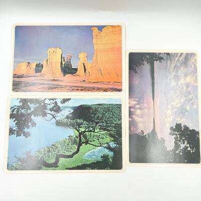 VINTAGE NATURE LANDSCAPE LAMINATED PLACEMATS (6)