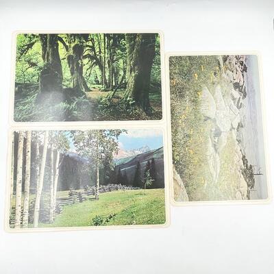 VINTAGE NATURE LANDSCAPE LAMINATED PLACEMATS (6)