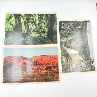 VINTAGE NATURE LANDSCAPE LAMINATED PLACEMATS (6)