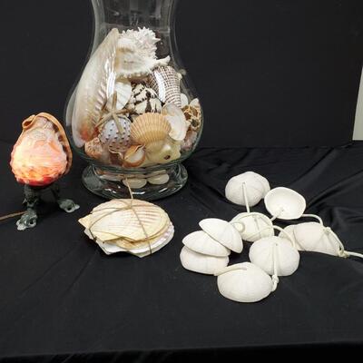 Genuine Sea Shell Decor