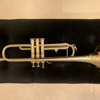 #14 Trumpet For Display