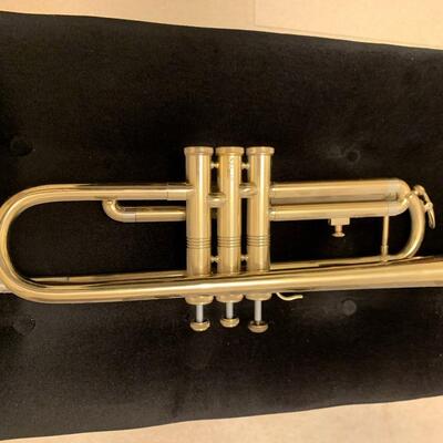 #14 Trumpet For Display