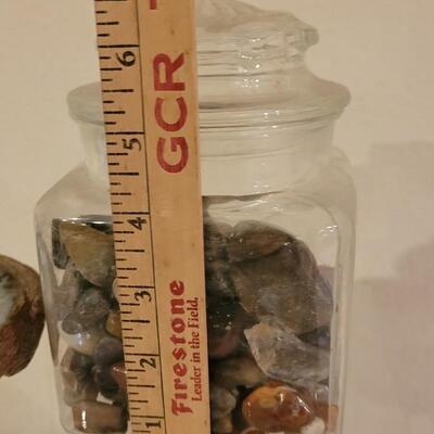 Lot 183: Large Jar of Shells, Medium Jar of Mixed Rocks & Shells and an Abalone Shell