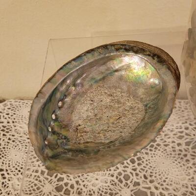 Lot 183: Large Jar of Shells, Medium Jar of Mixed Rocks & Shells and an Abalone Shell
