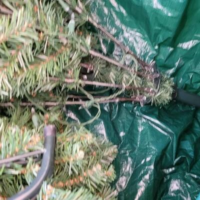 Lot 204: Pre-lite 7 or 8 Ft. Christmas Tree with Stand in Storage Bag