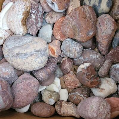 Lot 214: Mexican Beach Stone (Third of a Bag Full), Box of Mixed River Stones and Shell Fossils Mix, New Container of Lucky River Rock...