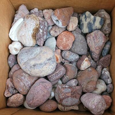 Lot 214: Mexican Beach Stone (Third of a Bag Full), Box of Mixed River Stones and Shell Fossils Mix, New Container of Lucky River Rock...