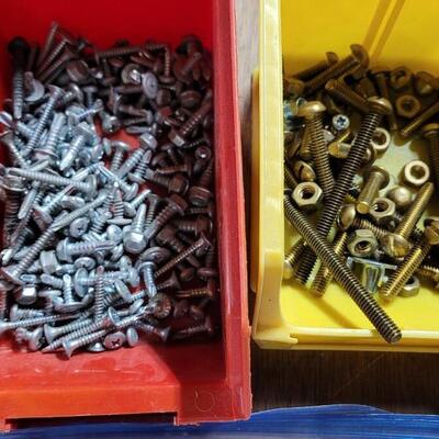Lot 259: Nails & Screws Lot