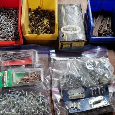 Lot 259: Nails & Screws Lot