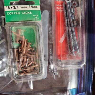 Lot 259: Nails & Screws Lot