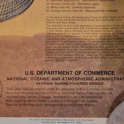Lot 282: U.S. Department of Commerce Mollusks and Crustaceans of the Coastal U.S. 48" Ã— 30"