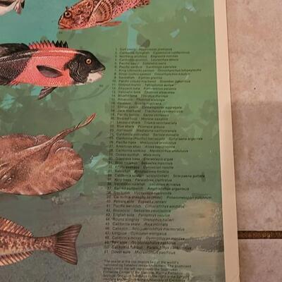 Lot 283: U.S. Department of Commerce - Marine Fishes of the California Current and Adjacent Waters 48" Ã— 30"