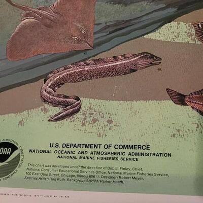 Lot 283: U.S. Department of Commerce - Marine Fishes of the California Current and Adjacent Waters 48" Ã— 30"