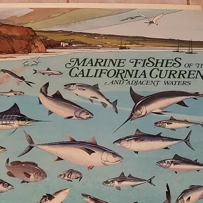 Lot 283: U.S. Department of Commerce - Marine Fishes of the California Current and Adjacent Waters 48" Ã— 30"