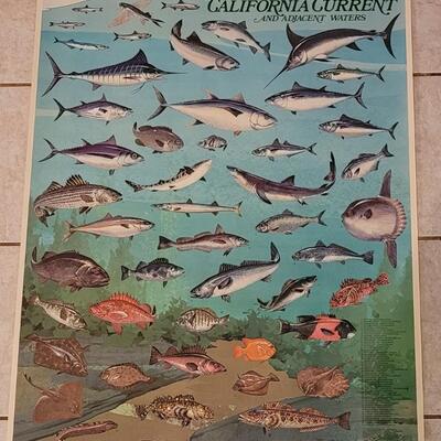Lot 283: U.S. Department of Commerce - Marine Fishes of the California Current and Adjacent Waters 48" Ã— 30"