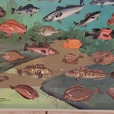 Lot 283: U.S. Department of Commerce - Marine Fishes of the California Current and Adjacent Waters 48" Ã— 30"
