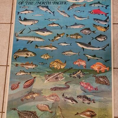 Lot 284: U.S. Department of Commerce - Marine Fishes of the North Pacific 48" Ã— 30"
