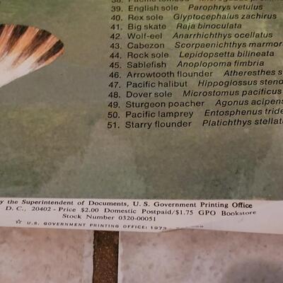 Lot 284: U.S. Department of Commerce - Marine Fishes of the North Pacific 48" Ã— 30"