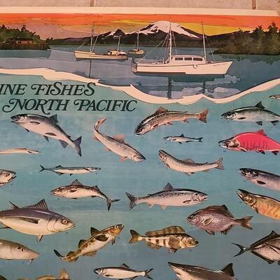 Lot 284: U.S. Department of Commerce - Marine Fishes of the North Pacific 48" Ã— 30"