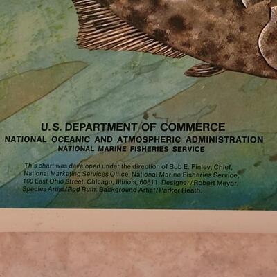 Lot 284: U.S. Department of Commerce - Marine Fishes of the North Pacific 48" Ã— 30"