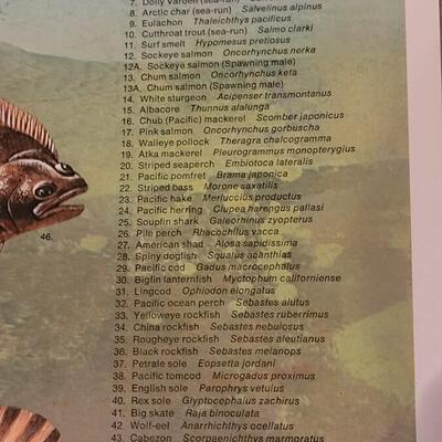 Lot 284: U.S. Department of Commerce - Marine Fishes of the North Pacific 48" Ã— 30"