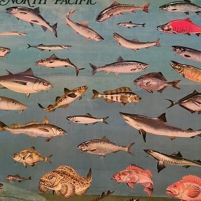 Lot 284: U.S. Department of Commerce - Marine Fishes of the North Pacific 48" Ã— 30"