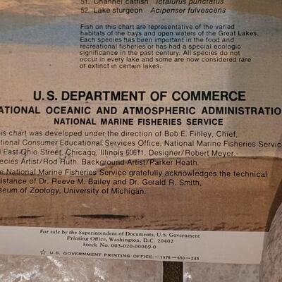 Lot 285: U.S. Department of Commerce - Fishes of the Great Lakes 48" Ã— 30"