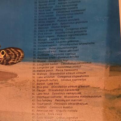 Lot 285: U.S. Department of Commerce - Fishes of the Great Lakes 48" Ã— 30"