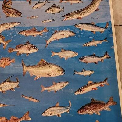 Lot 285: U.S. Department of Commerce - Fishes of the Great Lakes 48" Ã— 30"