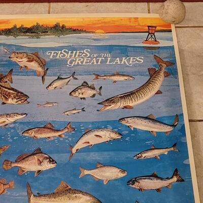 Lot 285: U.S. Department of Commerce - Fishes of the Great Lakes 48" Ã— 30"
